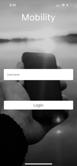 Mobility login