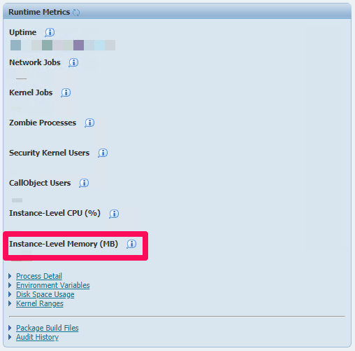 SM Instance Memory Level